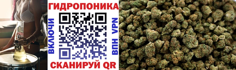 Вейп ТГК Коряжма