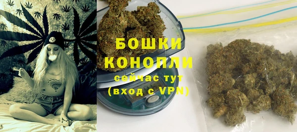 прущие крисы Верея