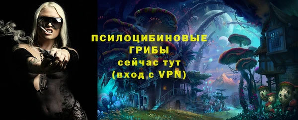 прущие крисы Верея