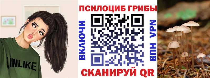 Купить закладки  Коряжма  Псилоцибиновые грибы мицелий 